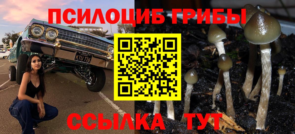 Новороссийск  Псилоцибиновые грибы GOLDEN TEACHER  Вход с VPN  Галлюциногенные грибы GOLDEN TEACHER 