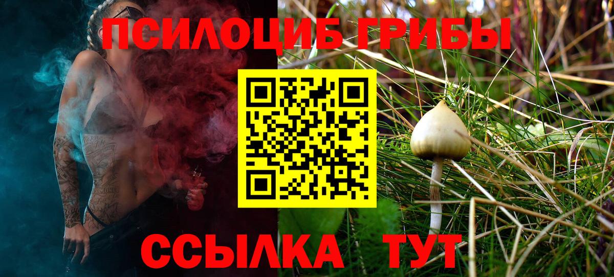 Псилоцибиновые грибы мухоморы Новороссийск